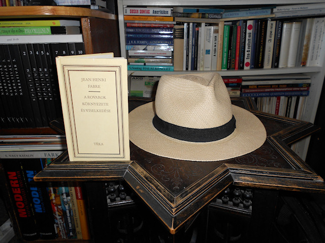 Nagy András muzeológus, esztéta, Janus Pannonius Múzeum, Képző- és iparművészeti osztály