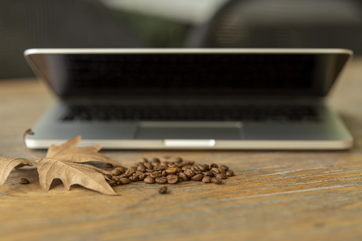 Opening hours in the fall term