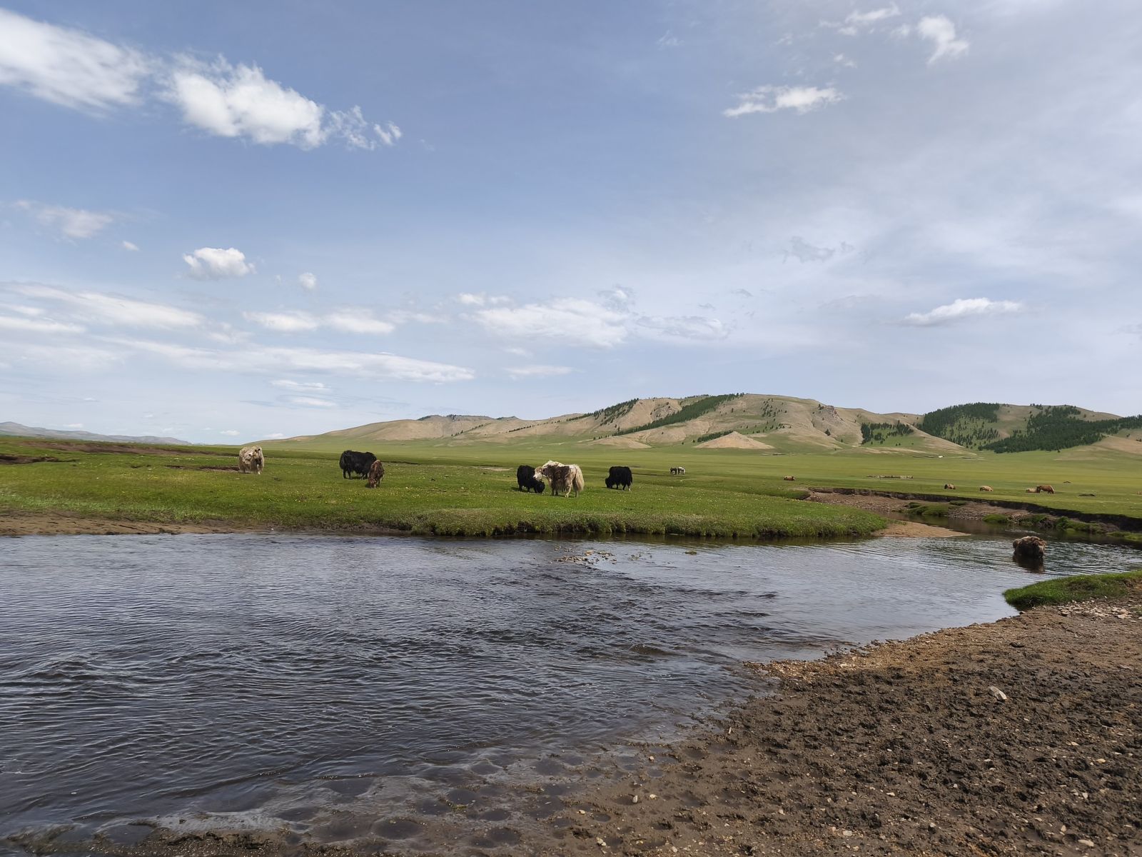 Tradíció és modernitás – mongol jogszokások – kiállításmegnyitó