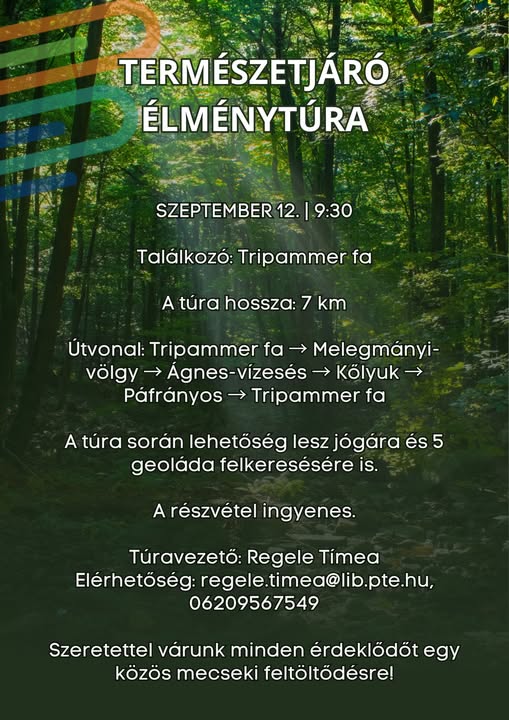 Erdei élménytúra a Mecsekben 